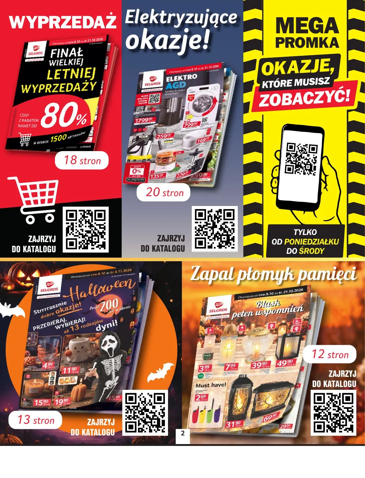 gazetka promocyjna SELGROS Oferta przemysłowa - Strona 2