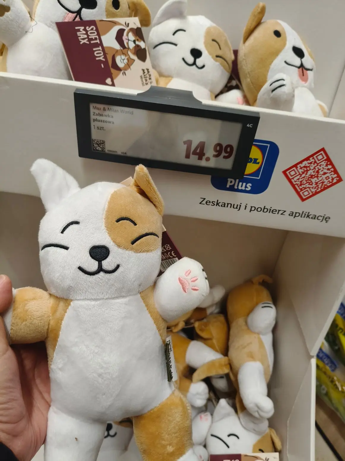 gazetka promocyjna LIDL Nowości w Lidlu  - Strona 3