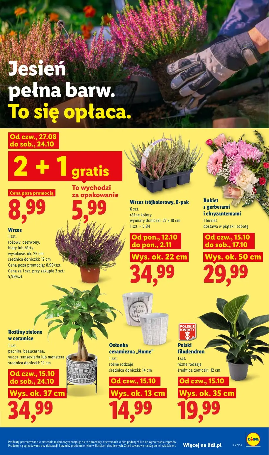 gazetka promocyjna LIDL Od czwartku - Strona 107