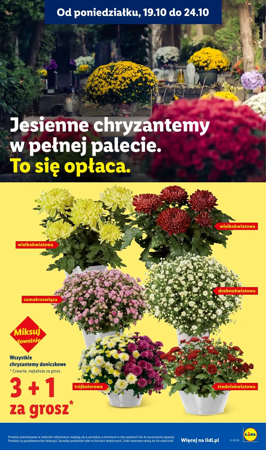 gazetka promocyjna LIDL Od poniedziałku - Strona 97