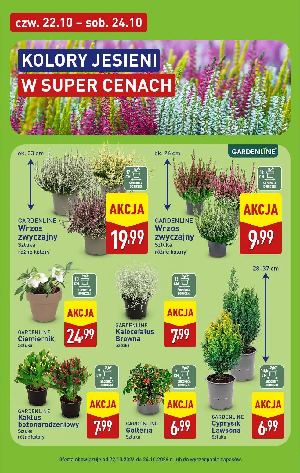 gazetka promocyjna ALDI Wybieram ALDI - Strona 45