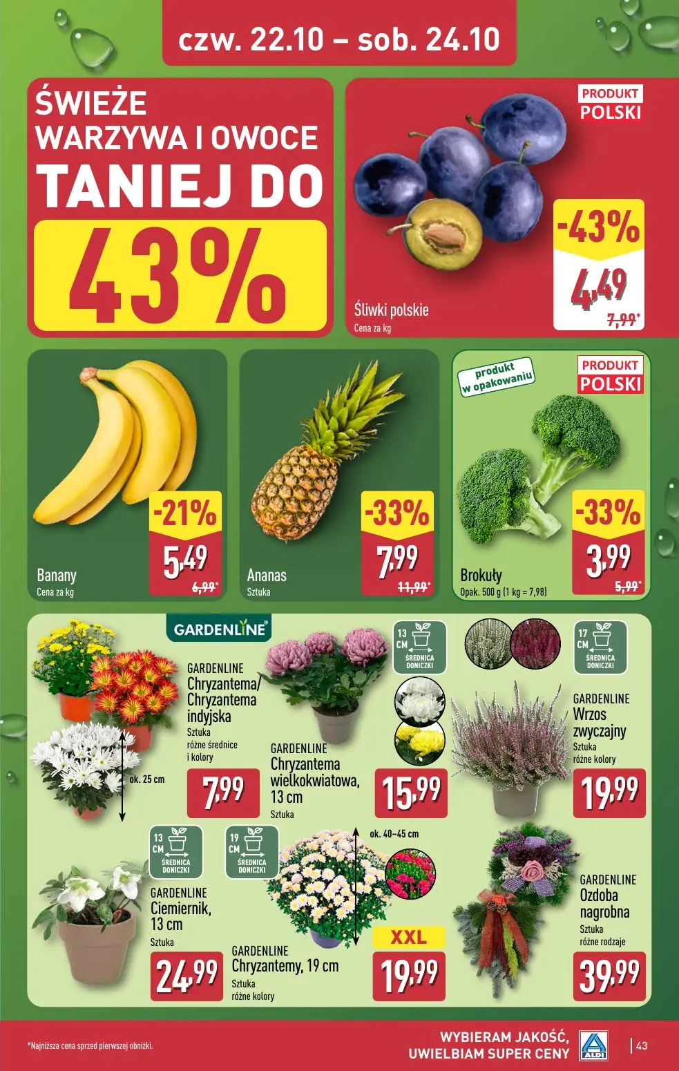 gazetka promocyjna ALDI Wybieram ALDI - Strona 43