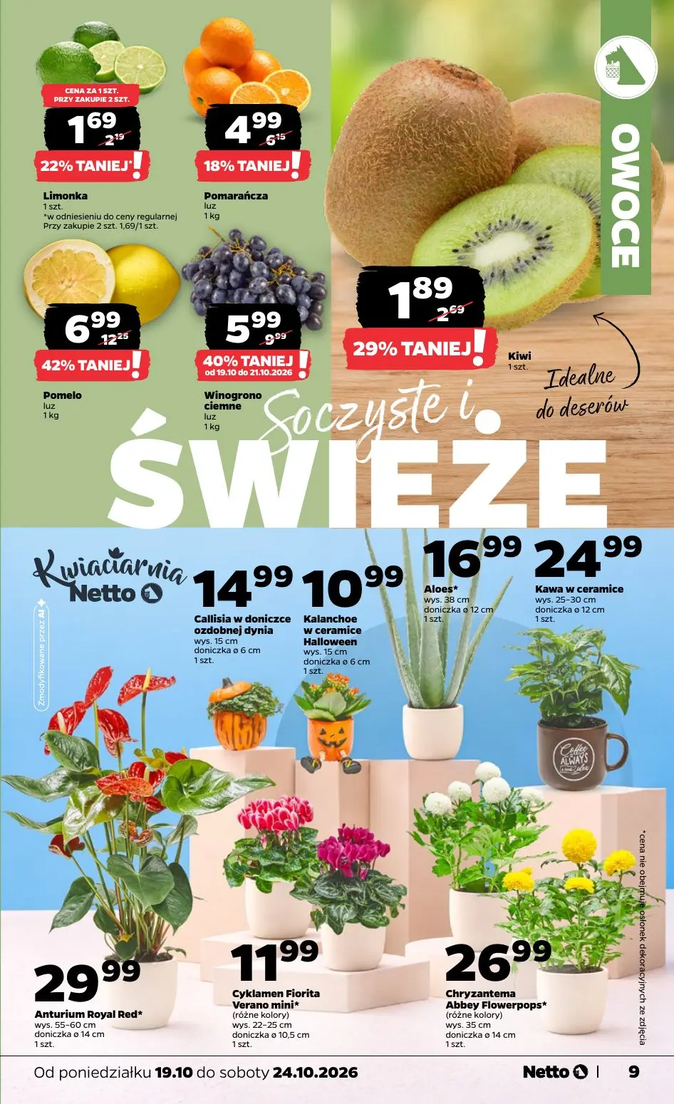 gazetka promocyjna NETTO Gazetka spożywcza - Strona 9