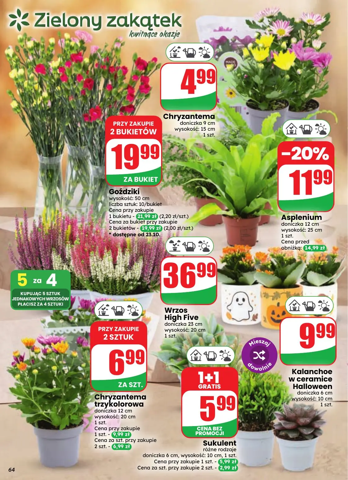 gazetka promocyjna dino Najbliżej Ciebie - Strona 64