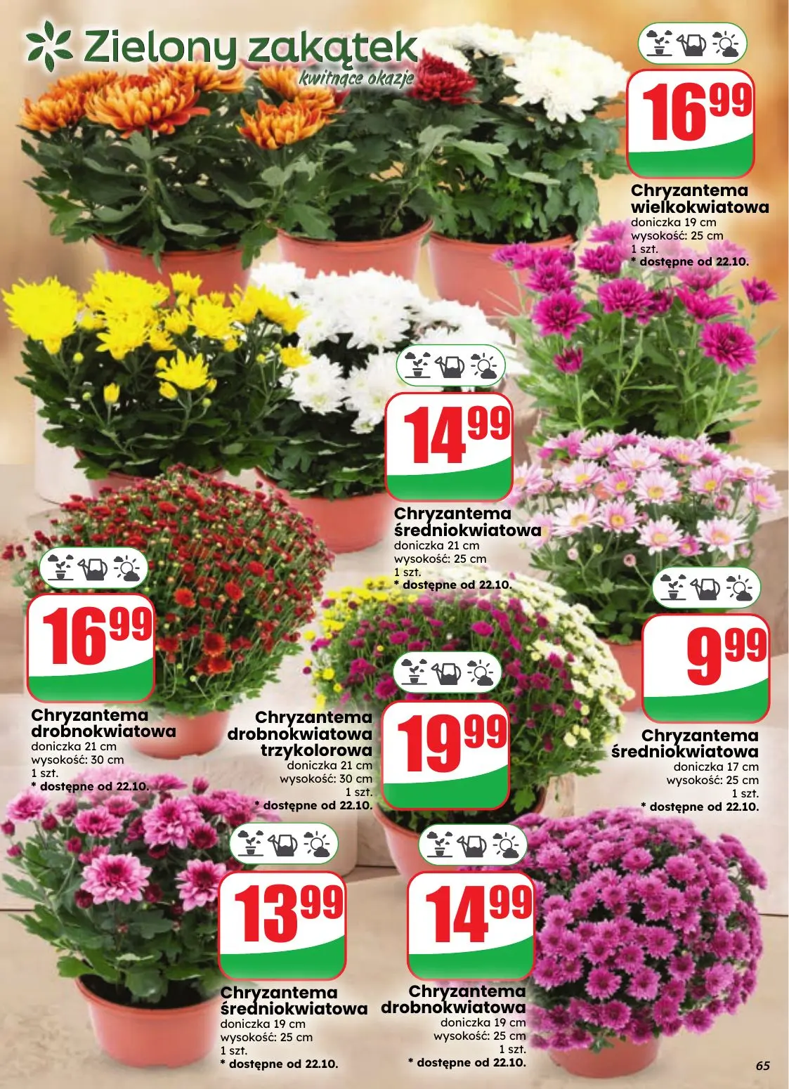 gazetka promocyjna dino Najbliżej Ciebie - Strona 65