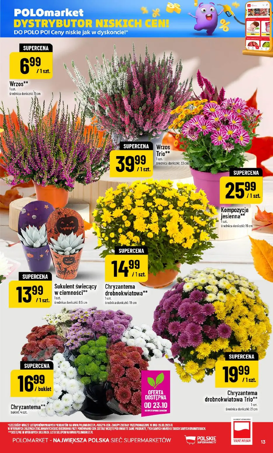 gazetka promocyjna POLOmarket Dolnośląskie, lubuskie - Strona 13