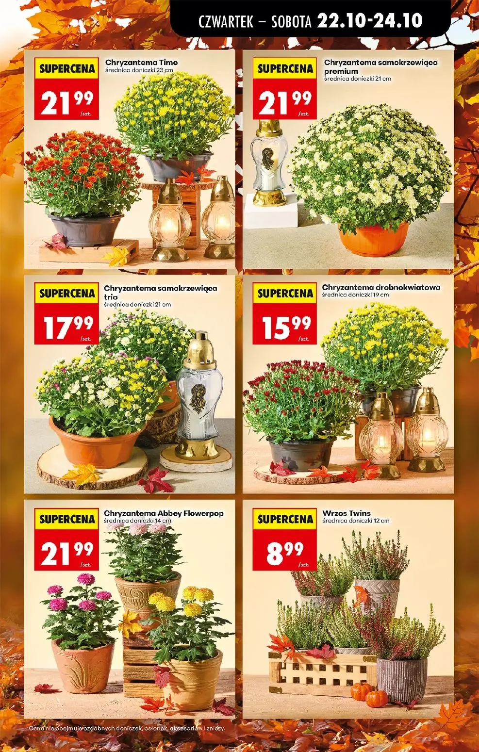 gazetka promocyjna Biedronka Lada tradycyjna. Od czwartku - Strona 19