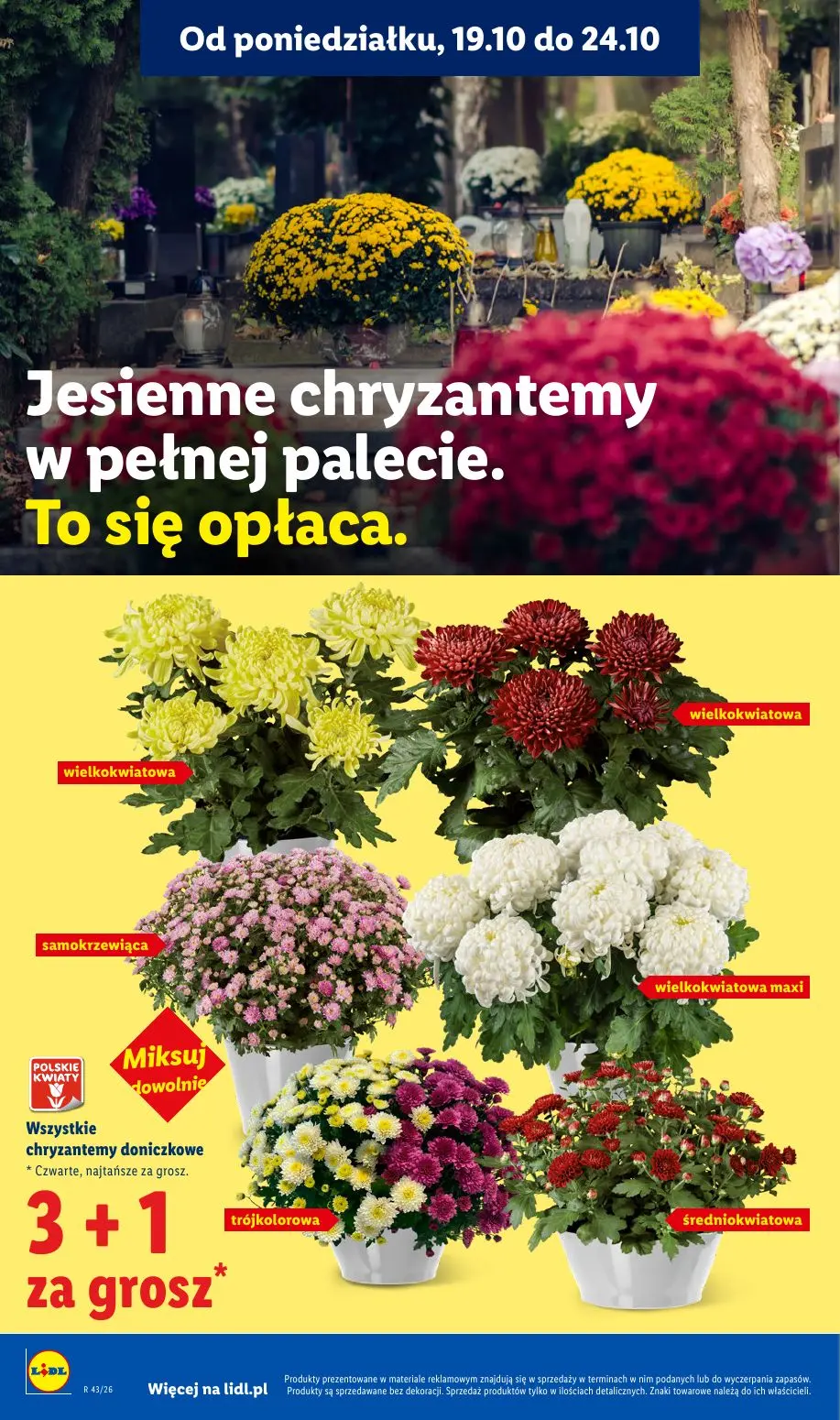 gazetka promocyjna LIDL Od czwartku - Strona 102