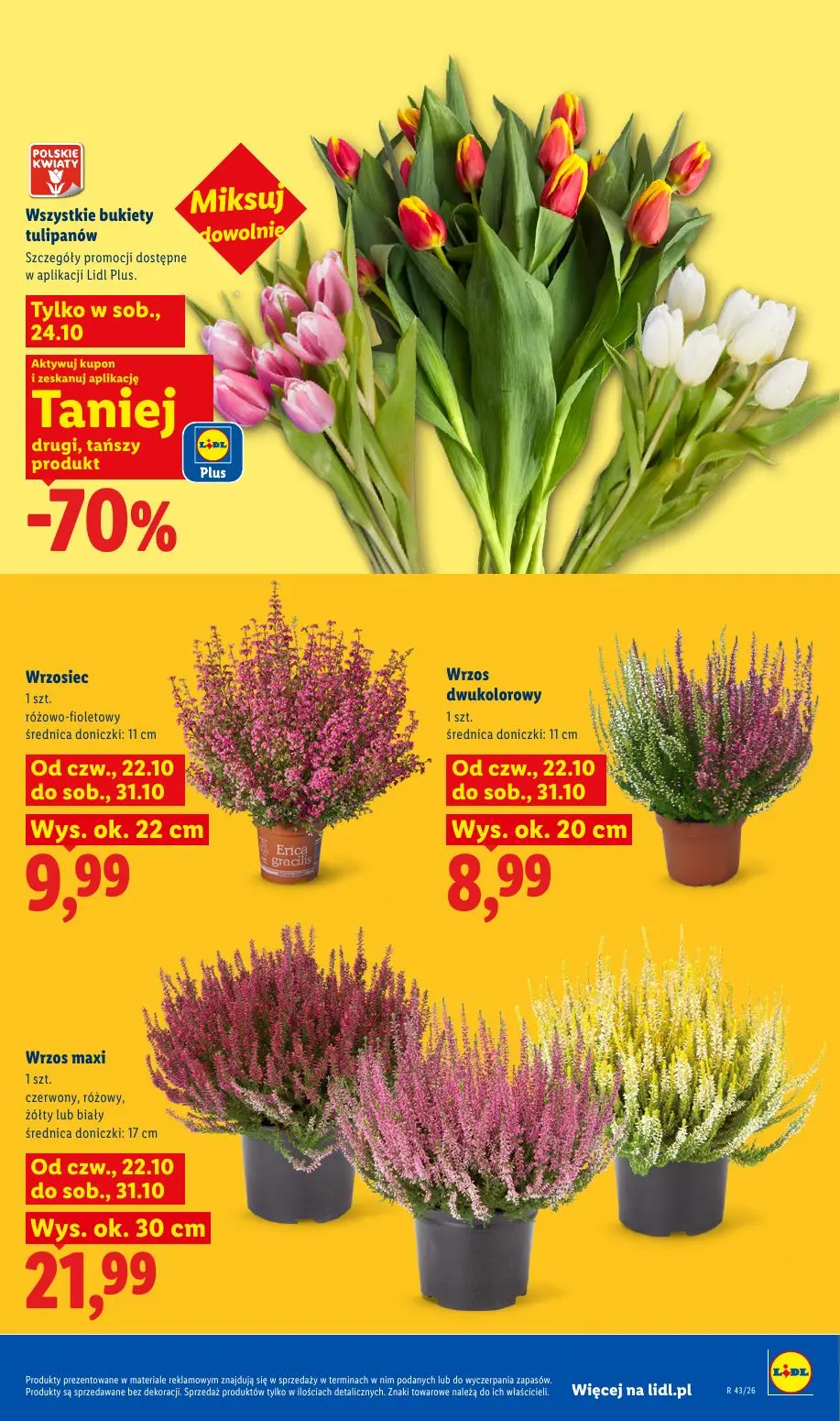 gazetka promocyjna LIDL Od czwartku - Strona 103