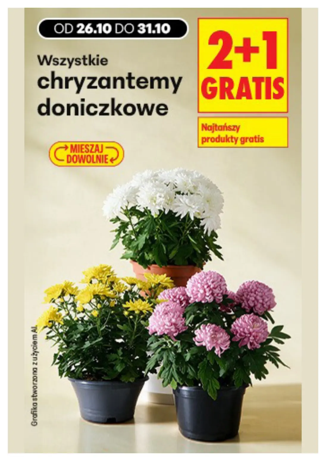 gazetka promocyjna Biedronka Biedronkowe oszczędności - Strona 9