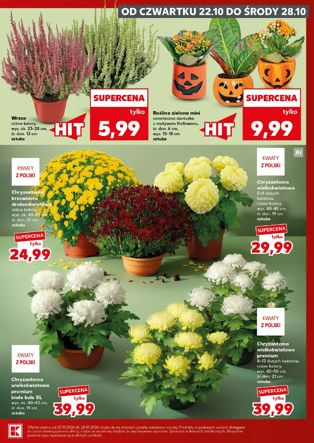 gazetka promocyjna Kaufland Mocny Start - Strona 5