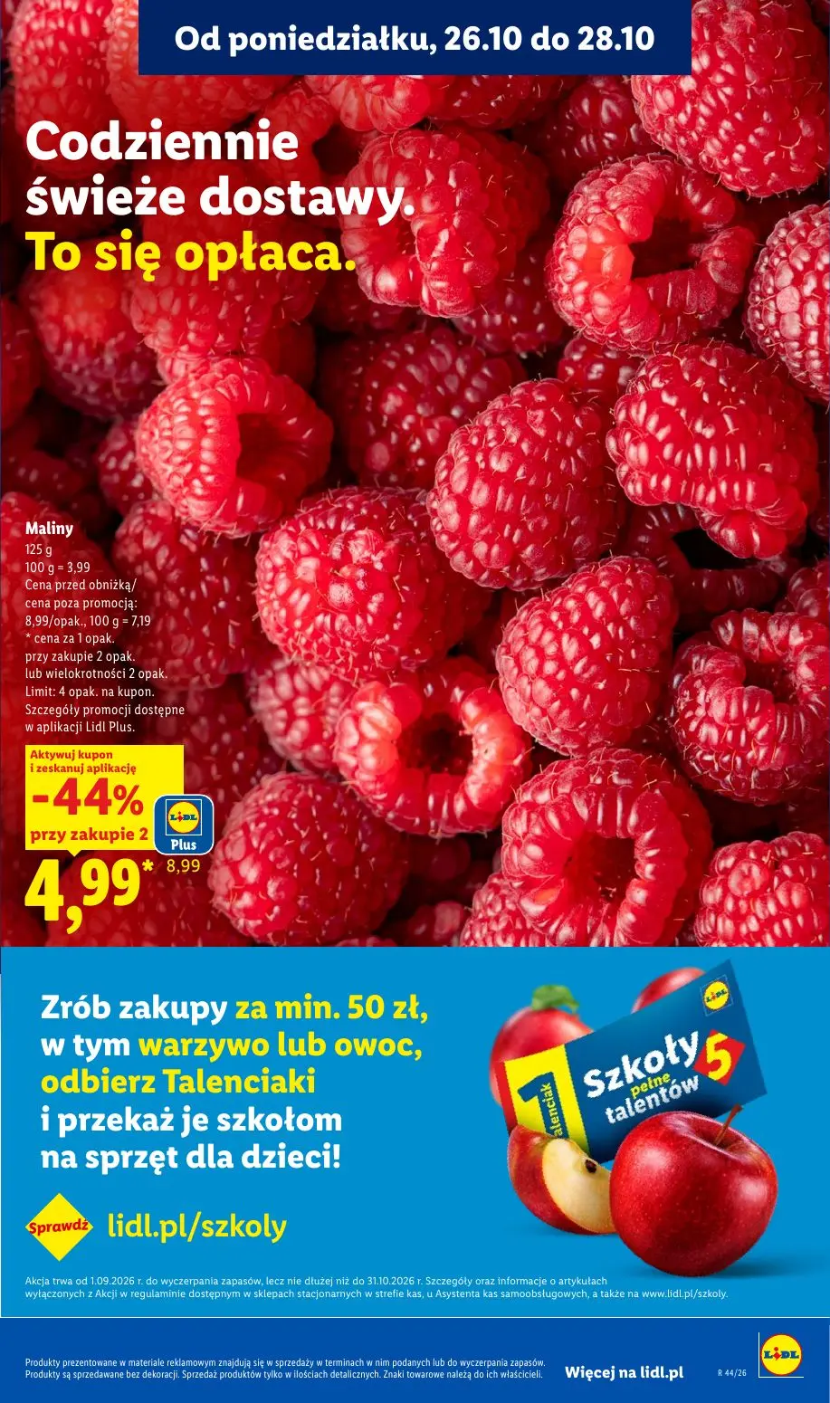 gazetka promocyjna LIDL 26.10 - Strona 43