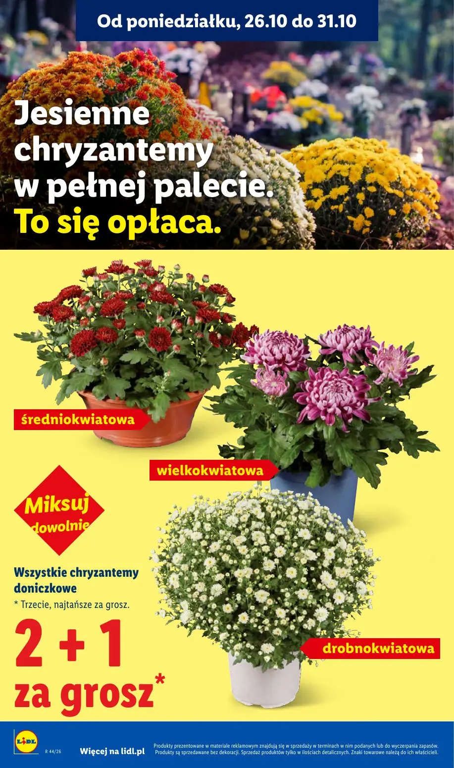 gazetka promocyjna LIDL 26.10 - Strona 44