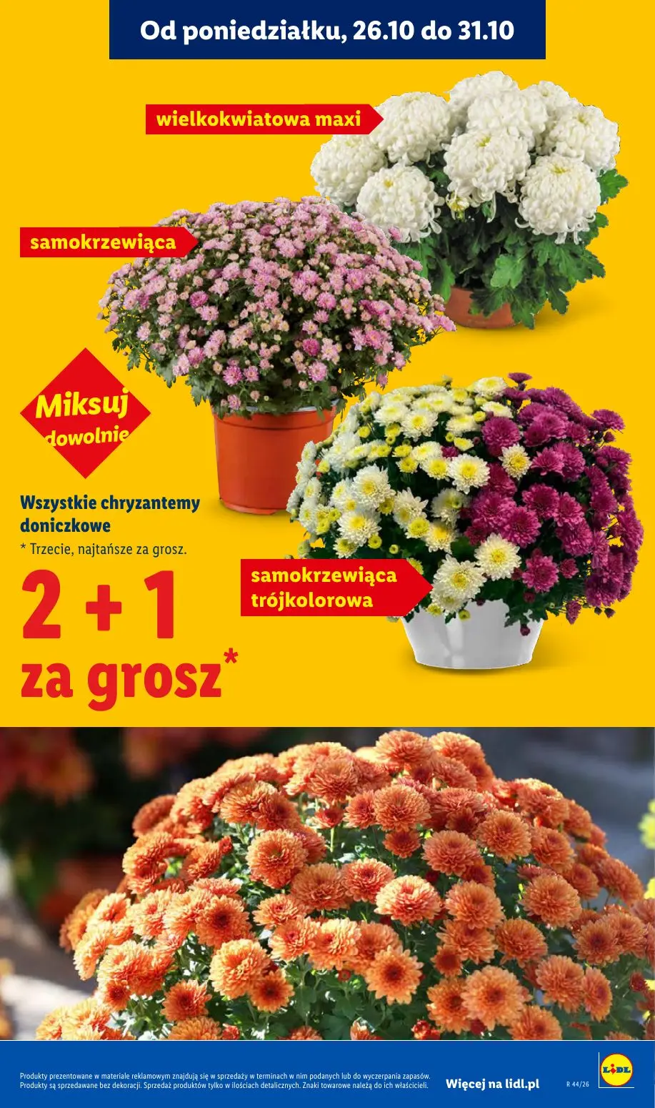 gazetka promocyjna LIDL 26.10 - Strona 45