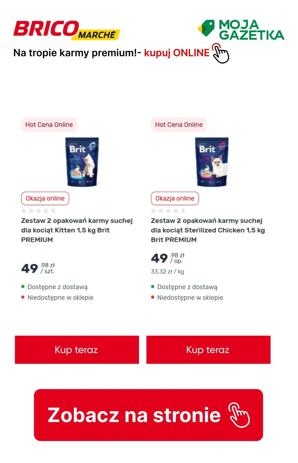 gazetka promocyjna BRICOMARCHE Na tropie karmy premium! - Strona 13