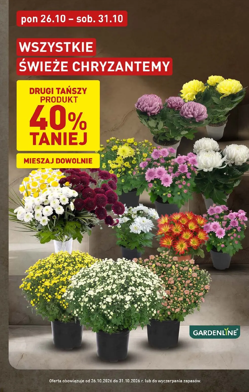 gazetka promocyjna ALDI  - Strona 3