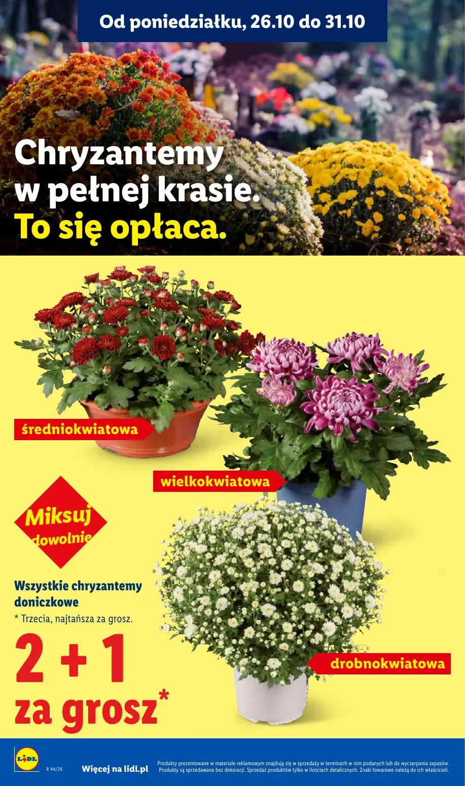 gazetka promocyjna LIDL Od czwartku - Strona 4