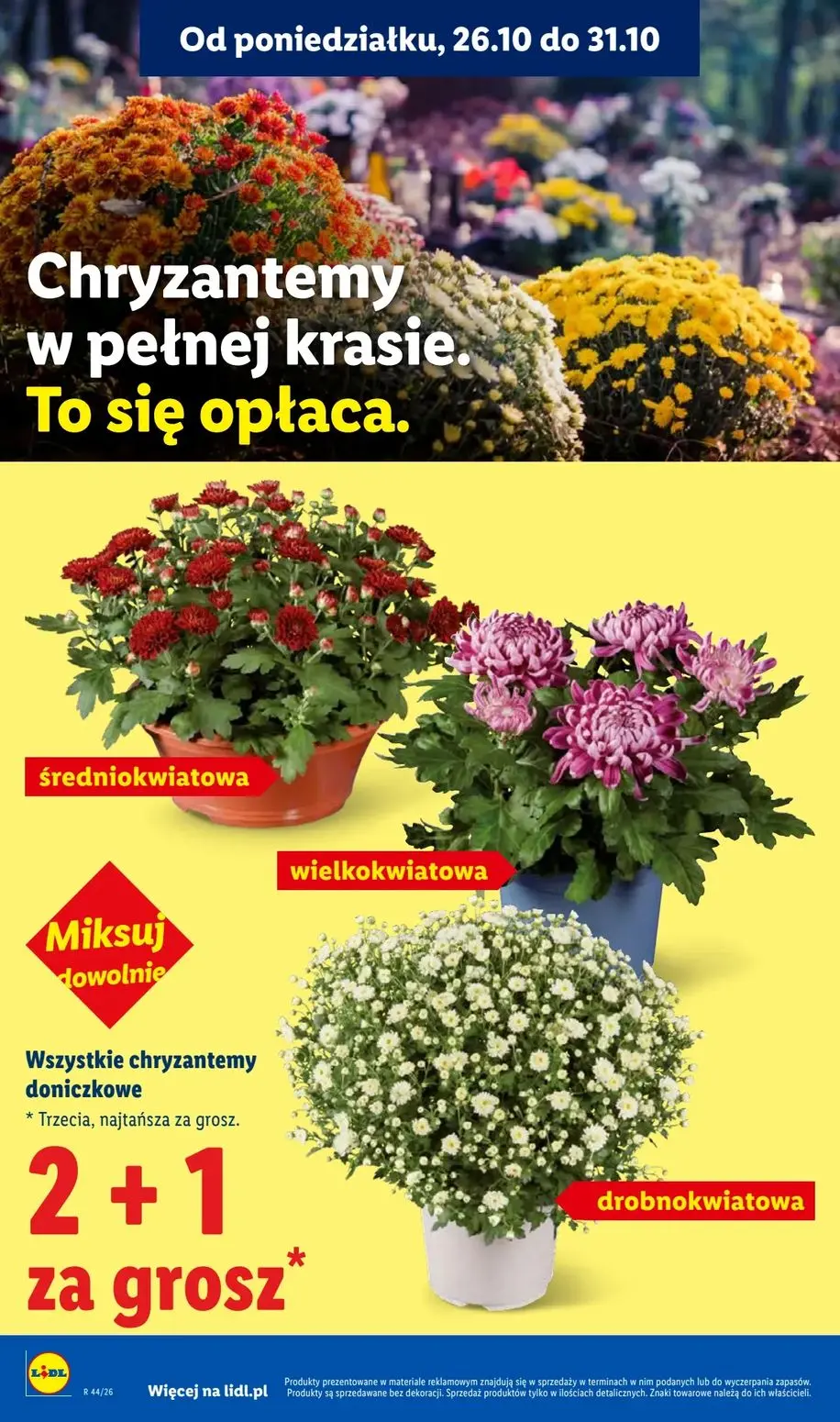 gazetka promocyjna LIDL Od czwartku - Strona 4