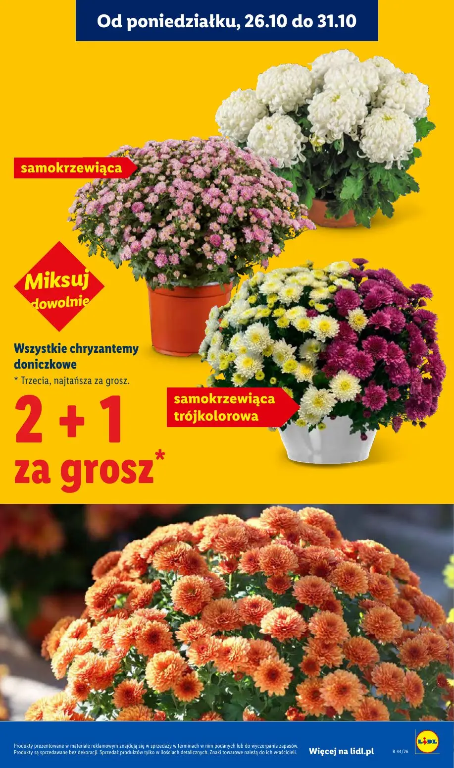 gazetka promocyjna LIDL 29.10 - Strona 5