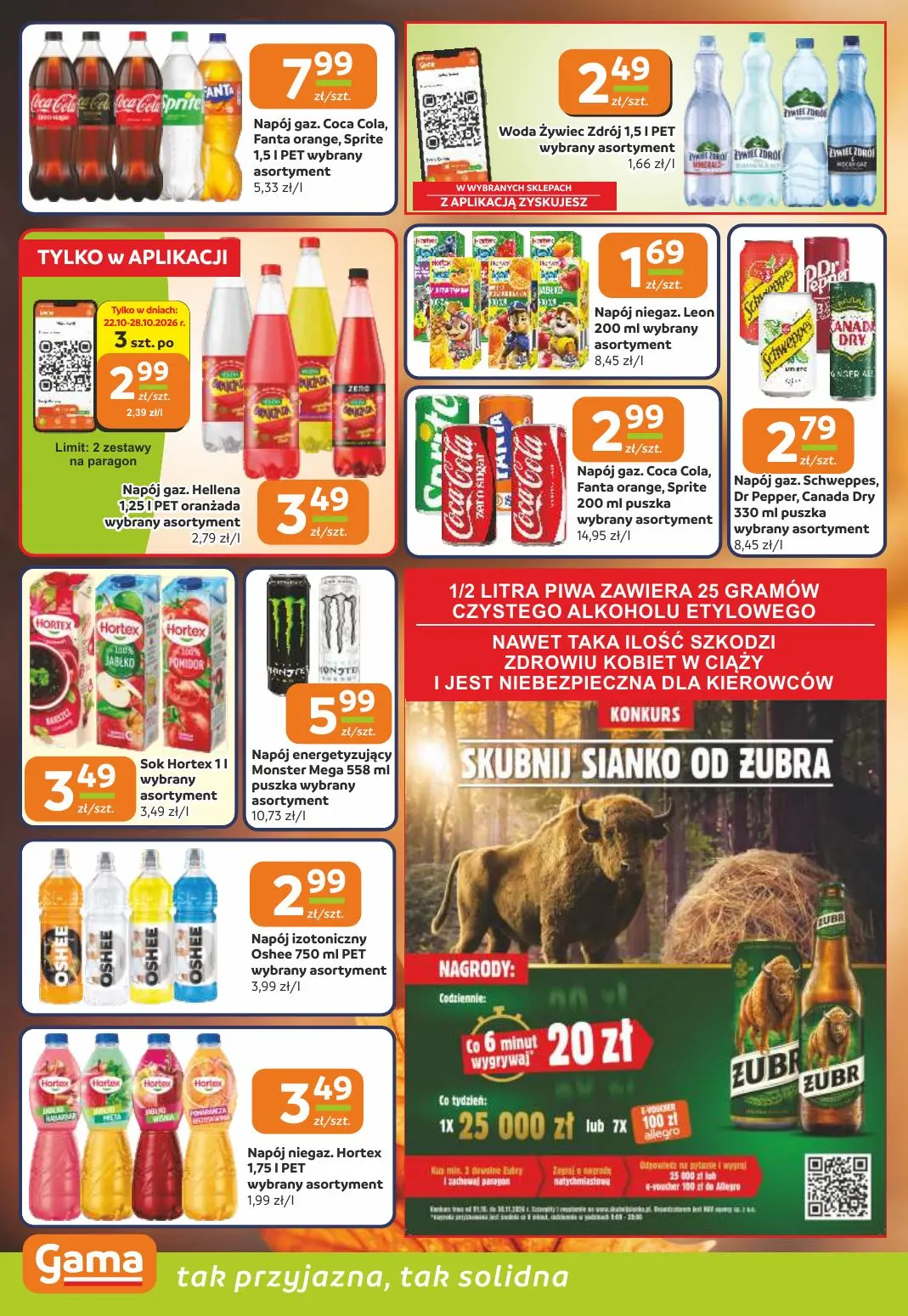 gazetka promocyjna Gama Cała gama oszczędności! - Strona 10