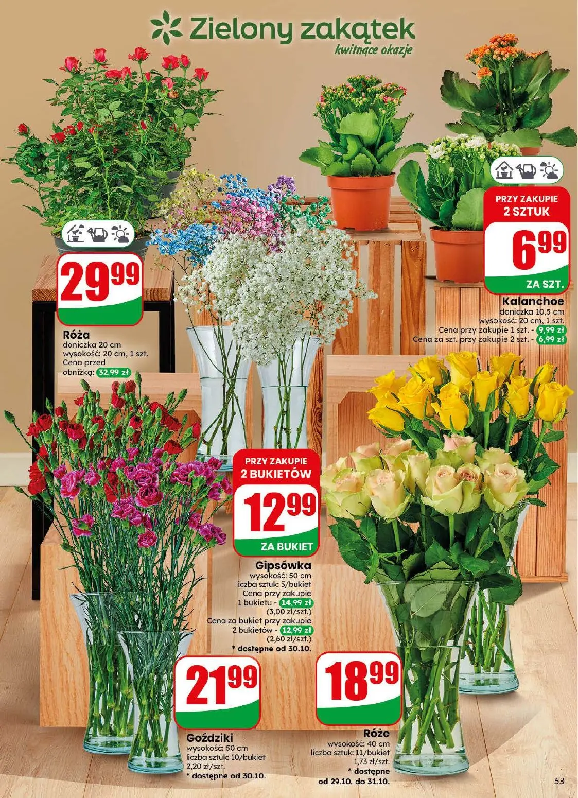 gazetka promocyjna dino Od środy - Strona 53