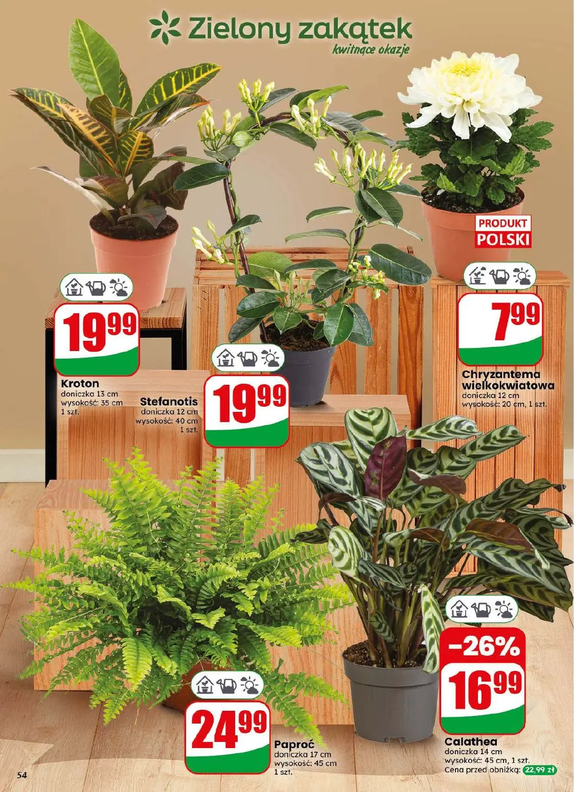 gazetka promocyjna dino Od środy - Strona 54