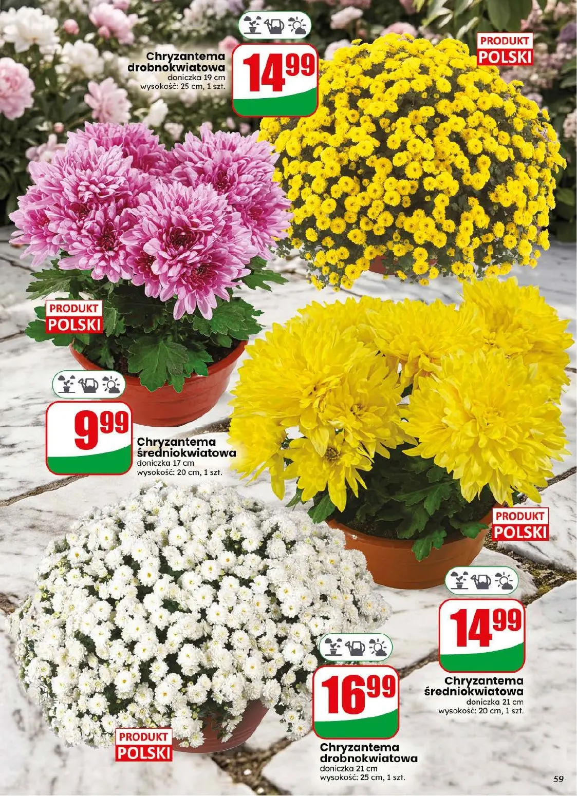 gazetka promocyjna dino Od środy - Strona 59