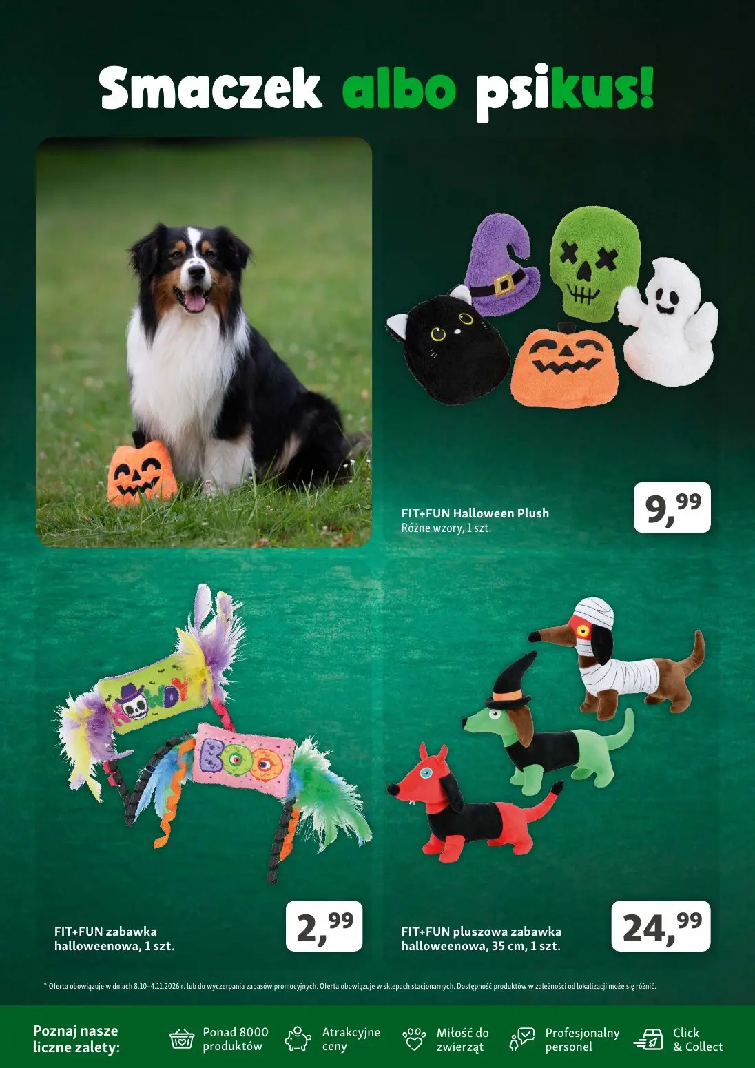 gazetka promocyjna Maxi Zoo Hity miesiąca - Strona 6