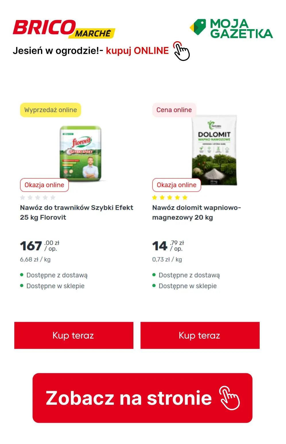 gazetka promocyjna BRICOMARCHE Jesień w ogrodzie- pora działać! - Strona 2