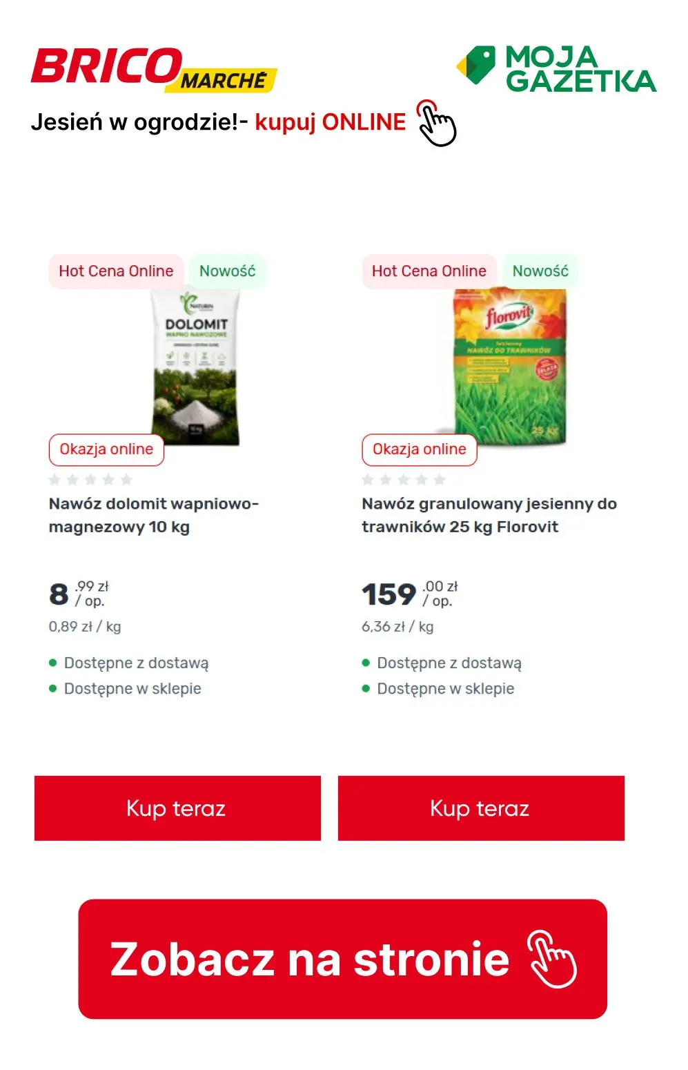 gazetka promocyjna BRICOMARCHE Jesień w ogrodzie- pora działać! - Strona 3