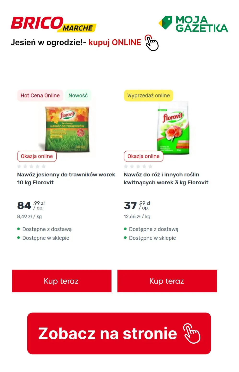 gazetka promocyjna BRICOMARCHE Jesień w ogrodzie- pora działać! - Strona 4