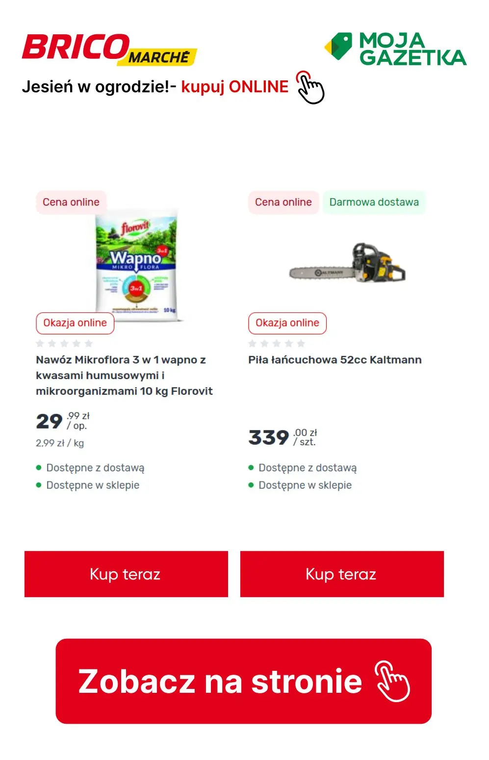 gazetka promocyjna BRICOMARCHE Jesień w ogrodzie- pora działać! - Strona 5