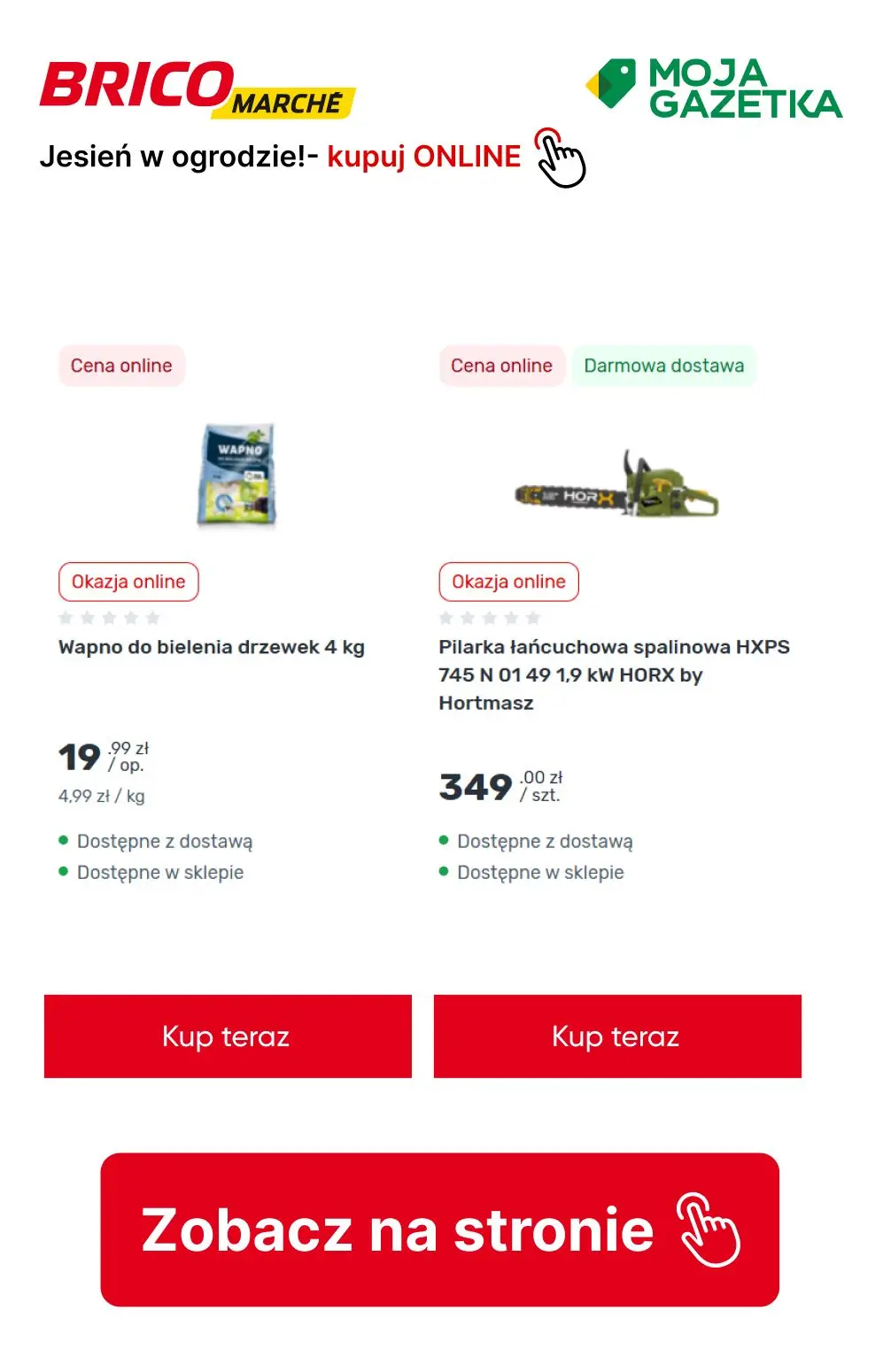gazetka promocyjna BRICOMARCHE Jesień w ogrodzie- pora działać! - Strona 6
