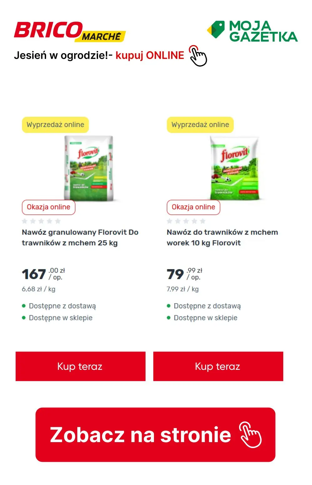 gazetka promocyjna BRICOMARCHE Jesień w ogrodzie- pora działać! - Strona 7