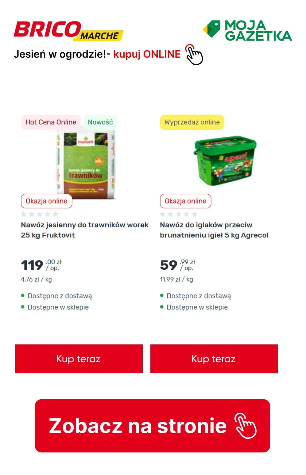 gazetka promocyjna BRICOMARCHE Jesień w ogrodzie- pora działać! - Strona 8