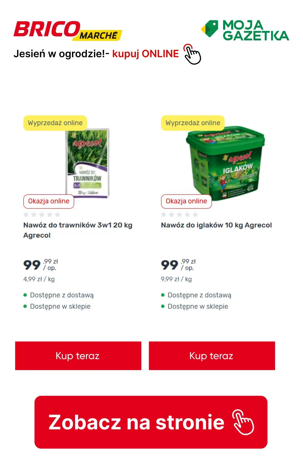 gazetka promocyjna BRICOMARCHE Jesień w ogrodzie- pora działać! - Strona 9