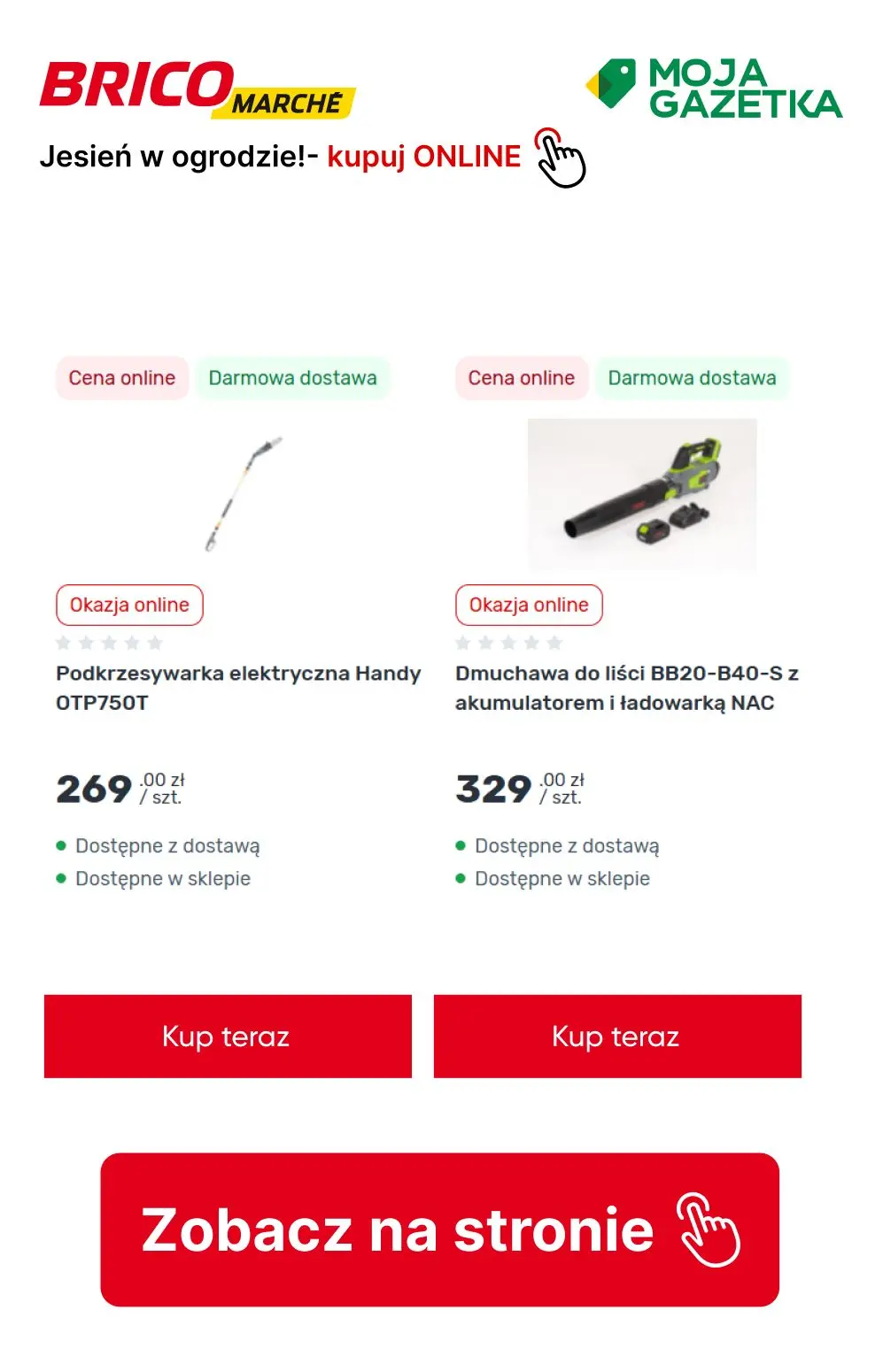 gazetka promocyjna BRICOMARCHE Jesień w ogrodzie- pora działać! - Strona 10