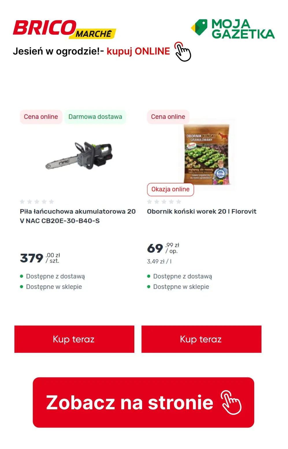 gazetka promocyjna BRICOMARCHE Jesień w ogrodzie- pora działać! - Strona 11