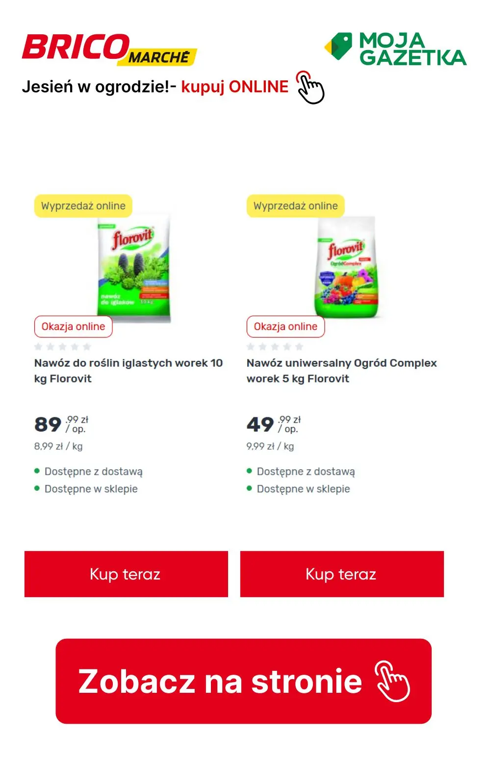 gazetka promocyjna BRICOMARCHE Jesień w ogrodzie- pora działać! - Strona 12