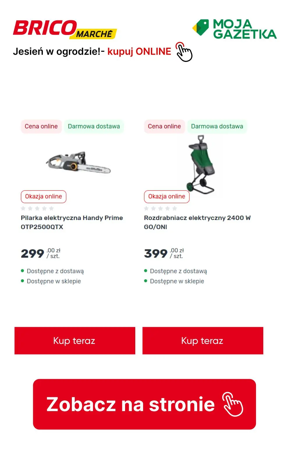 gazetka promocyjna BRICOMARCHE Jesień w ogrodzie- pora działać! - Strona 13