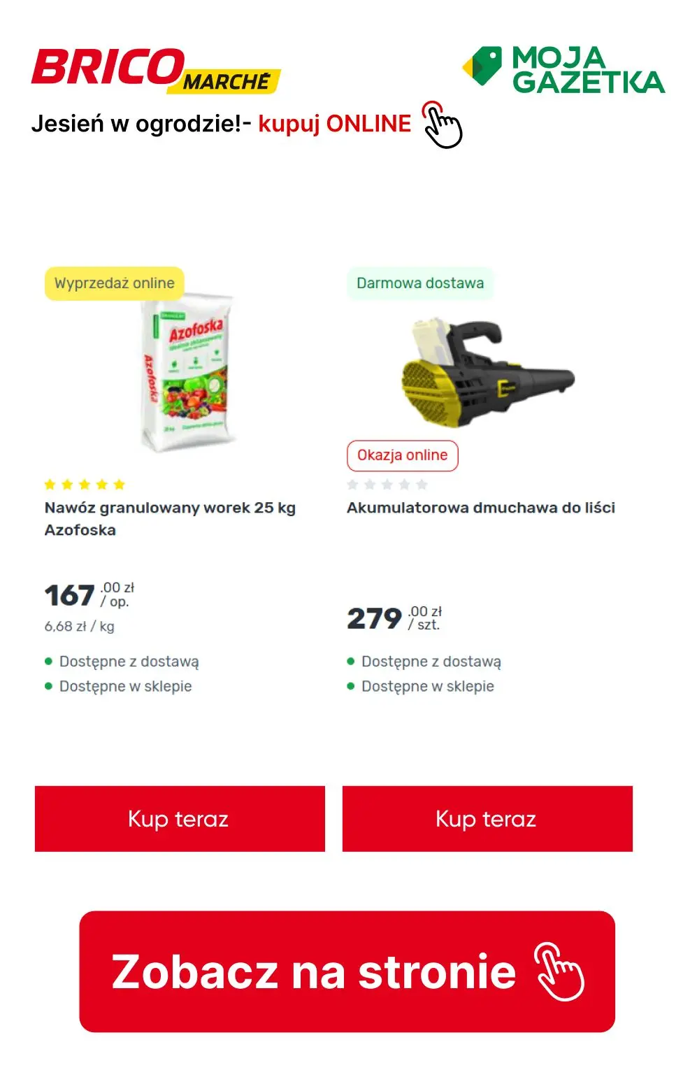 gazetka promocyjna BRICOMARCHE Jesień w ogrodzie- pora działać! - Strona 14