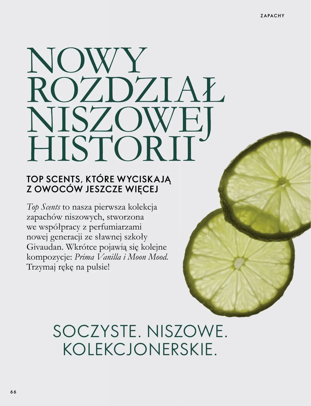 gazetka promocyjna ORIFLAME Twoja skóra w pełnej mocy - Strona 66