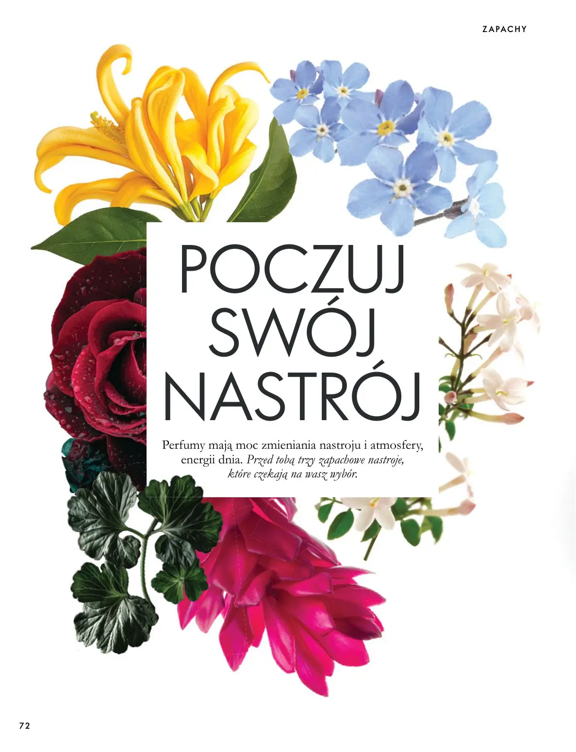 gazetka promocyjna ORIFLAME Twoja skóra w pełnej mocy - Strona 72