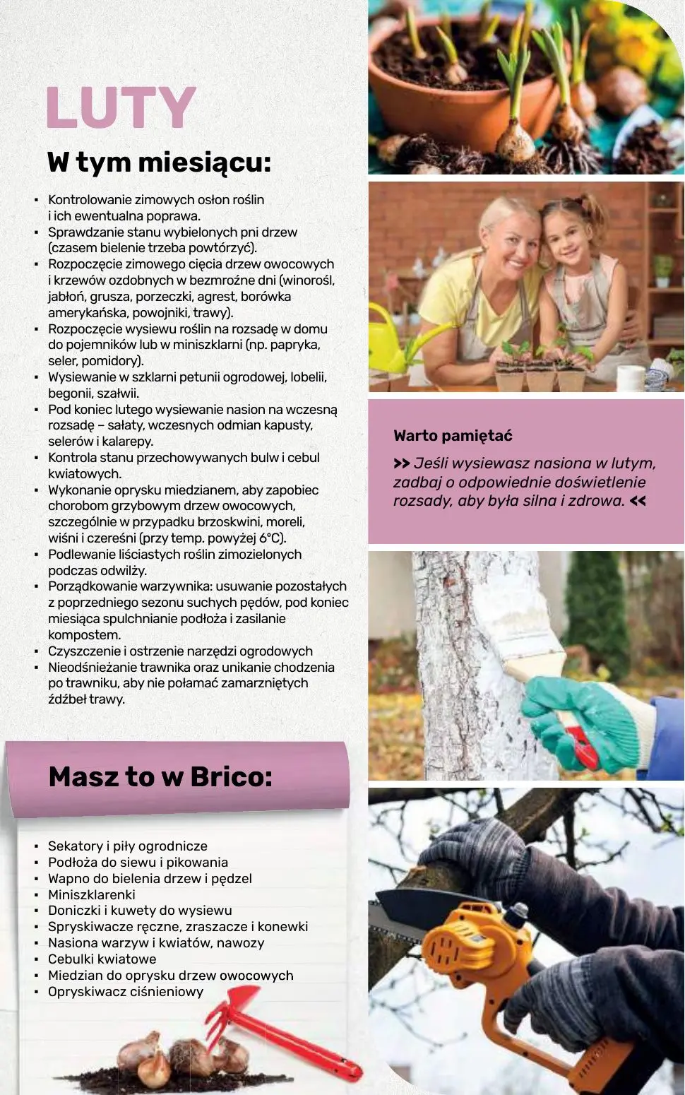 gazetka promocyjna BRICOMARCHE Katalog 2026 - Strona 101
