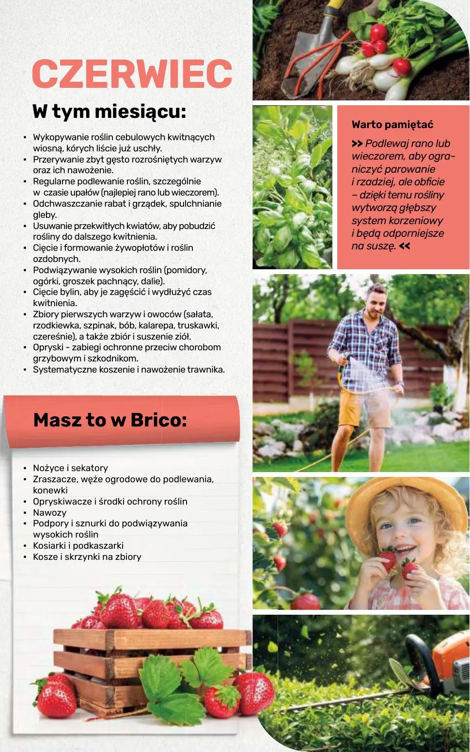 gazetka promocyjna BRICOMARCHE Katalog 2026 - Strona 105