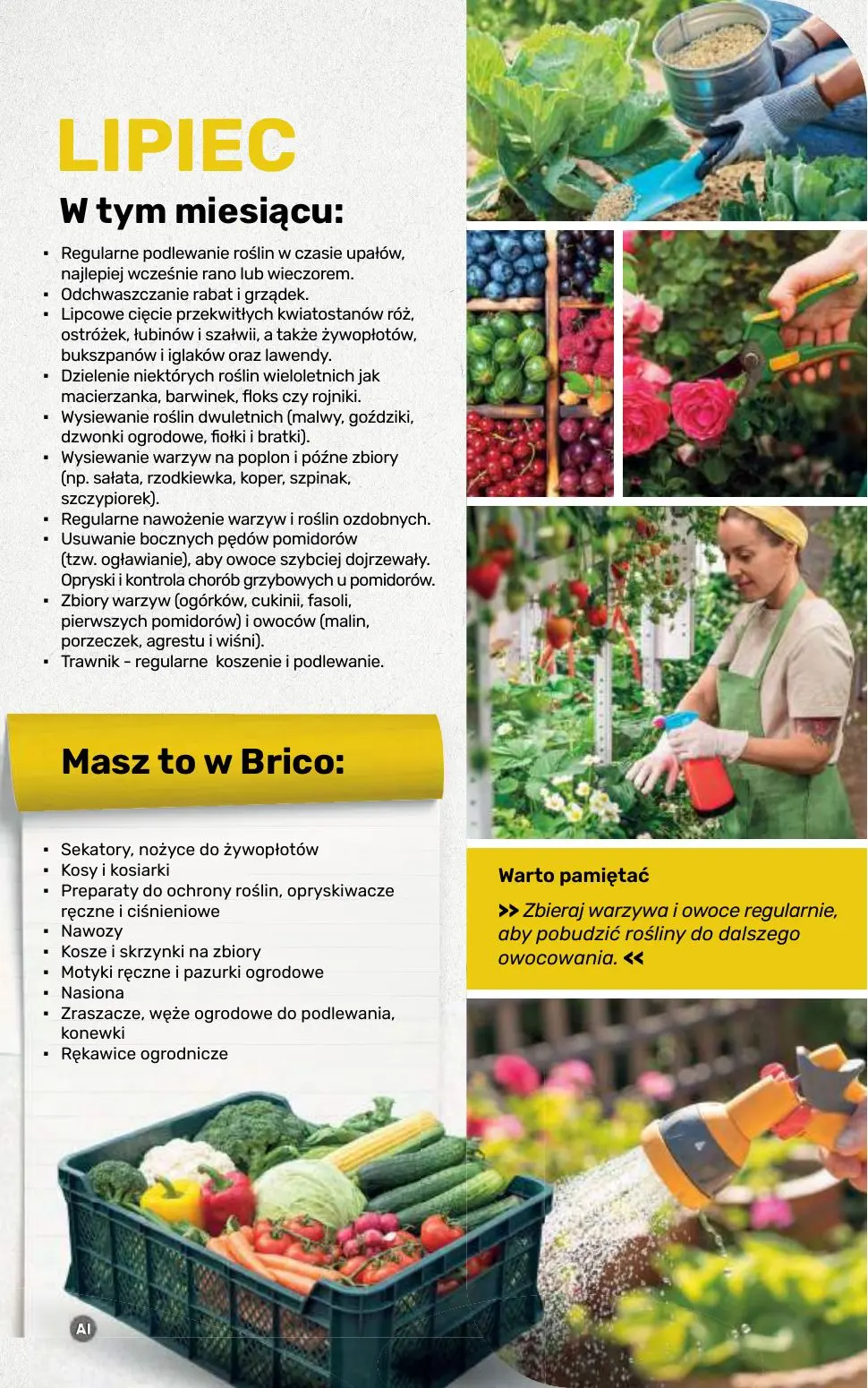 gazetka promocyjna BRICOMARCHE Katalog 2026 - Strona 106