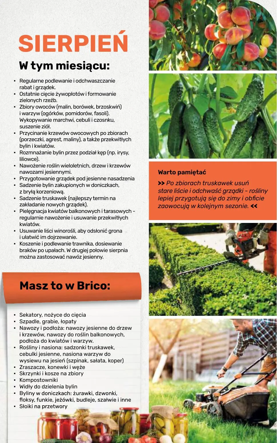 gazetka promocyjna BRICOMARCHE Katalog 2026 - Strona 107