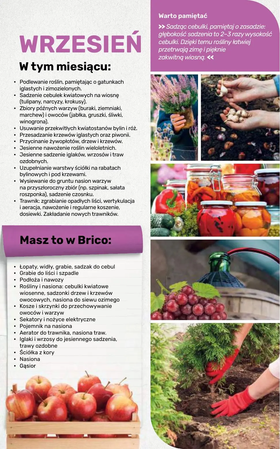 gazetka promocyjna BRICOMARCHE Katalog 2026 - Strona 108