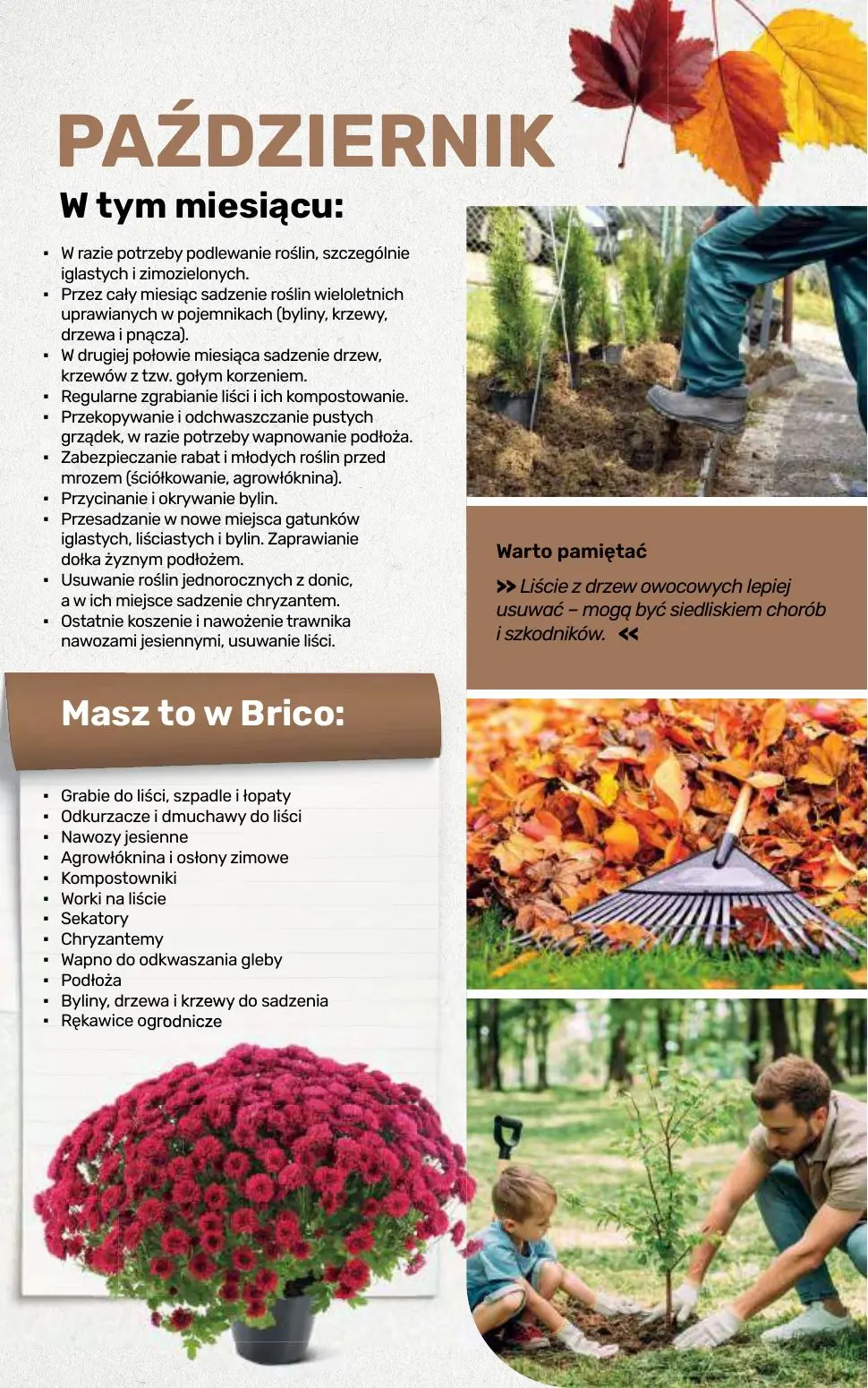 gazetka promocyjna BRICOMARCHE Katalog 2026 - Strona 109