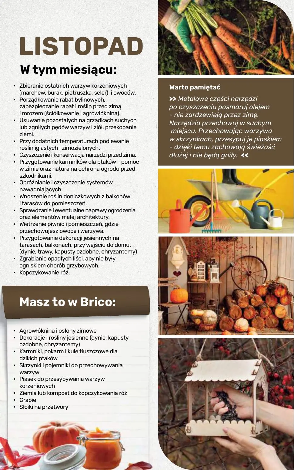 gazetka promocyjna BRICOMARCHE Katalog 2026 - Strona 110